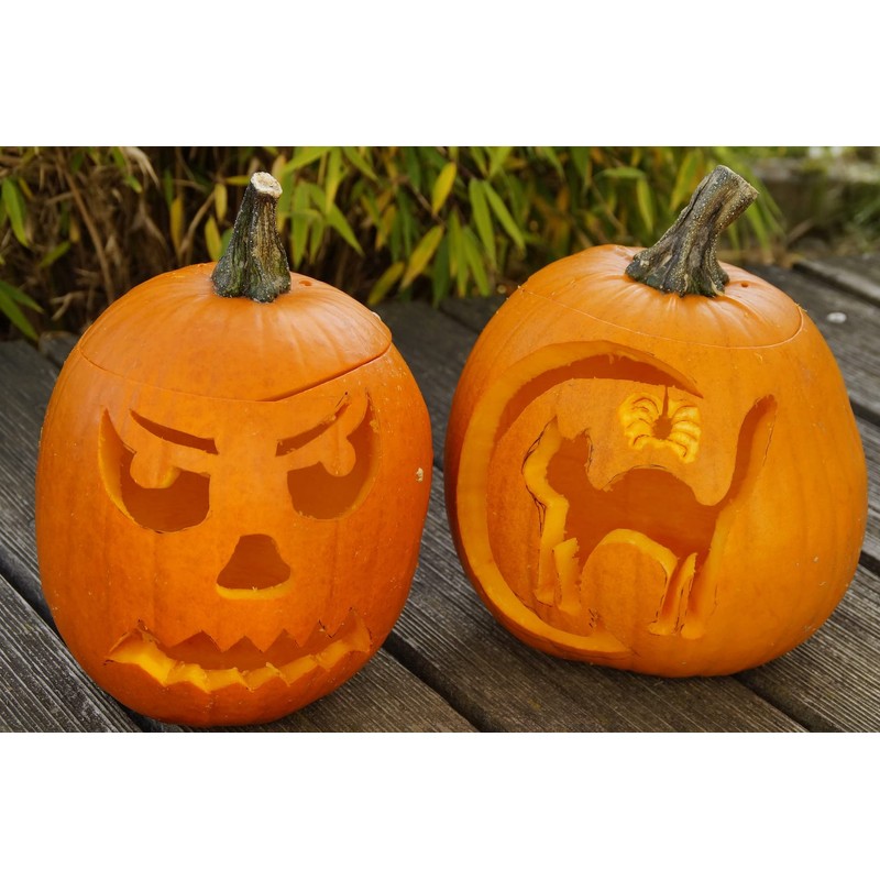 Pumpkin Masters Pumpkin Carving Kit 360 Degree Carving Kit