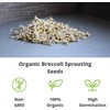 Handy Pantry Broccoli Sprouts Seed Organic- 1 Lb - Non-GMO