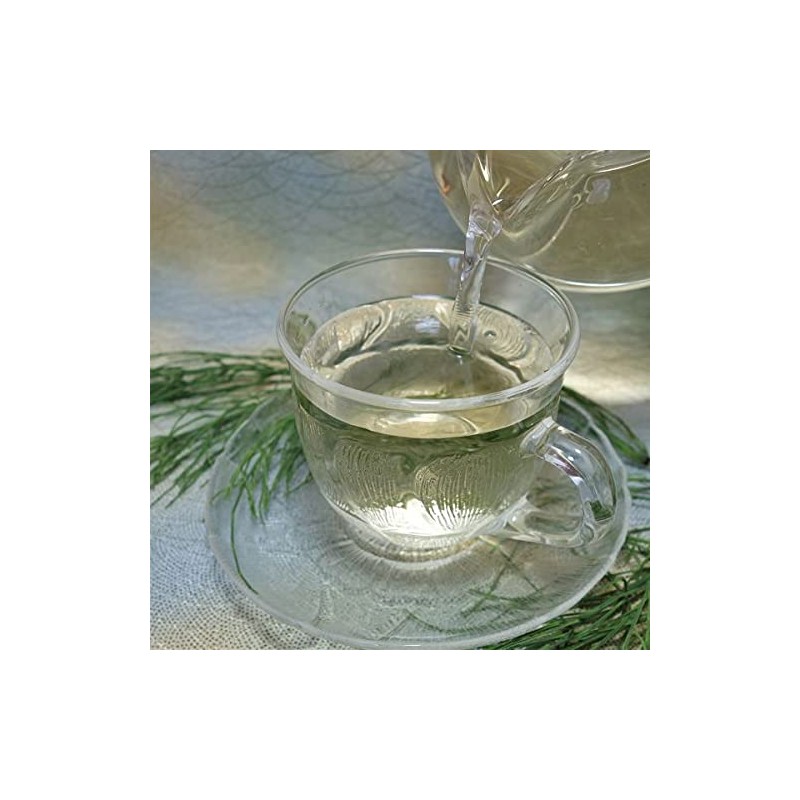 Horsetail Tea Horsetail Tea 100% Herbal Tea Tea Tea Health