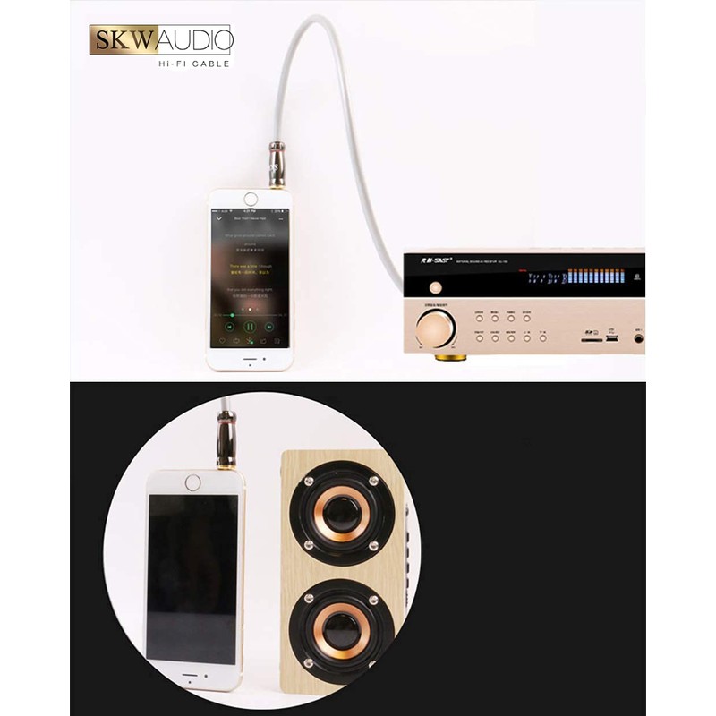 SKW Entry Level 3.5 mm Jack to 2 RCA Y