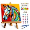 TOCARE Framed Paint by Numbers Kit for Adults, Horse Paint