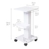 SEA PUNK Salon Spa Trolley Cart, Esthetician Cart with Wheels,