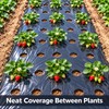 Black PE Mulch Film for Vegetable Gardens and Greenhouses, 37.4