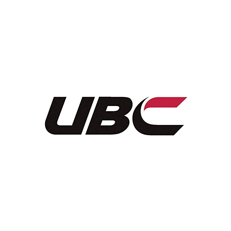 UBC Bearing RILLENKUGELLAGER EINREIHIG 61805 2Z