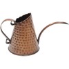 Oakestry Lightweight 12-inch Rustproof Copper Watering Can for Easy Watering