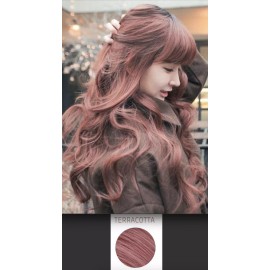 Ion Terracotta Hair Dye Permanent Brights Crème Hair Color Mauve