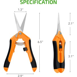 iPower 6.5 Inch Gardening Scissors Hand Pruner Pruning Shear with Straight Stainless Steel Blades, Orange, 4-Pack