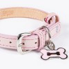 Collar Piel Perro Lujo Con Placa De Identificación Grabada