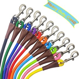 SEPXUFORE Small Dog Leash, 1/4" by 6/8/10 FT Lightweight Durable Rope Leash, 10+ Bright Classic Leash for Small Pets /Puppy /Cat