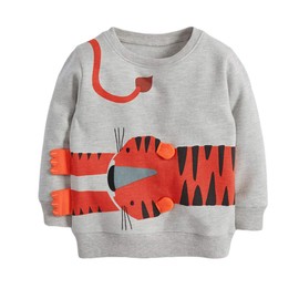 Little Hand Sweatshirts for Boys Animal Hoodie Pullover Grey Toddler Long Sleeve Tops Clothes 6T