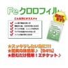 Feクロロフィル