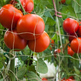 QWORK® Jute Support Netting, 1x5m Plant Climbing Netting with 10M Twine, for Cucumbers, Tomatoes, Pee