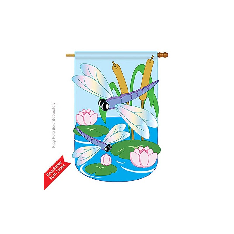 Two Group - Dragonfly Garden Friends - Everyday Bugs &