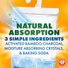 Arm & Hammer Essentials Hanging Moisture Absorber and Odor Eliminator,