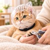 Breathable Cat Grooming Muzzle for Nail Trimming – Clear Anti-Bite
