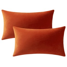 DEZENE Couch Pillow Cases 12x20 Burnt Orange: 2 Pack Cozy Soft Velvet Rectangular Throw Pillow Covers for Farmhouse Home Decor