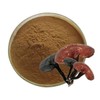 영지버섯추출분말 100g Reishi Mushroom Extract Powder 100g