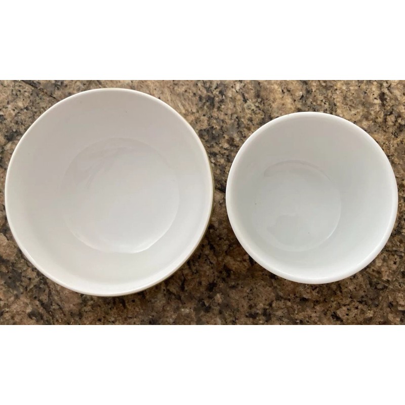 222 Fifth 4 piece 222 Fifth Peacock Garden Dinner Plate