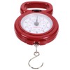 Hand Scale Mechanical Hanging Scale Portable Hand Held Dial Weight