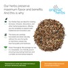 CINQUEFOIL HERB TEA, (COMARUM PALUSTRE L) | Original Herbs Herbal