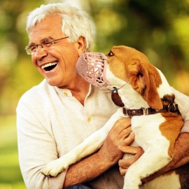 PETCUTE Dog Muzzle for Dogs, Adjustable and Safe Breathable Muzzle for Small Medium Large Dogs with Padded Nose Piece, Bite Protection, Ideal for Large Dogs