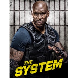  The System