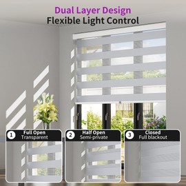 Astomi Zebra Roller Window Shades - Pull Down Roller Shades with Valance, for Living Room, Bedroom, Office, Bathroom, 22" W x 72" H, Silver, Striped Sheer