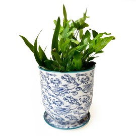 CHIVE 'Liberte' Ceramic Succulent Planters — Cute 4.25 Inch Vintage Style Pots for Indoor Plants — Beautiful Home and Kitchen Décor — Octopus