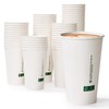 LITOPAK 210 Pack 16 oz Disposable Paper Coffee Cups, White