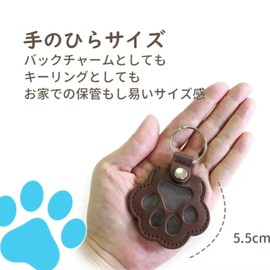 Pet Hair Case, Pet Memorial Goods, Pet Remembrance, Pet Altar, Photo Holder, Paw Shape, Key Holder, Dogs, Cats, Rabbits, Small Animals, Portable, Cute Memorial Goods (White)