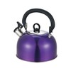Buckingham Stainless Steel Whistling Kettle Metallic Purple with Cool Touch