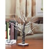 LIGHTSHARE Lighted Snow Dusted Bonsai Tree with 24 LED Lights