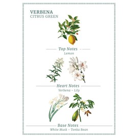 Panier des Sens Eau de Toilette, Perfume, Verbena - Made in France - 1.7 Floz/50ml