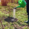 Macarrie 30 Pieces Weed Barrier Mats Non Woven Tree Mulch