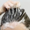 Yulgo Nature Time Mild Gray Gray Hair Dyeing Shampoo Dark