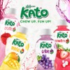 KATO - Schwarzer Johannisbeersaft mit Nata de Coco - 1