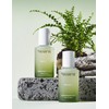 Korea Honey Shop Bmall Shop Vi Juvene Propolis Special Set