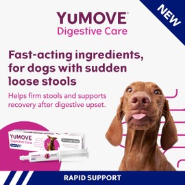 YuMOVE Digestive Care Rapid Probiotic Paste for Large Dogs | 60ml tube