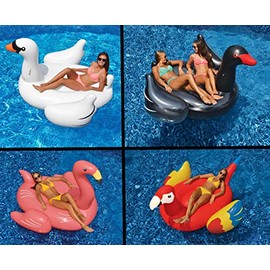 Swimline Giant White Swan/Flamingo/Black Swan/Parrot Floats for Swimming Pools (4 Pack)