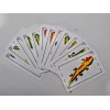 Naveta 3 Paquetes De Baraja Española Naveta De 50 Cartas.