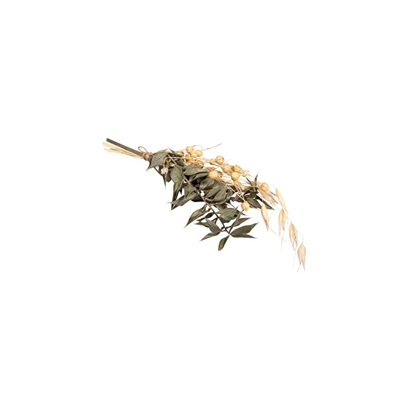 Rayher Mazzo di fiori secchi, verde pino, 18-20cm, bus.blis. 1pz,