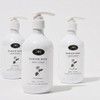 Carol Priest Damask Rose Body Lotion 300ml / 다마스크 로즈