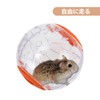 CAPASTEC 4.7 inches (12 cm) Ham Star Ball, Transparent Ham,