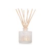Thymes Frasier Fir Reed Diffuser Set – Includes Reeds, Fragrance
