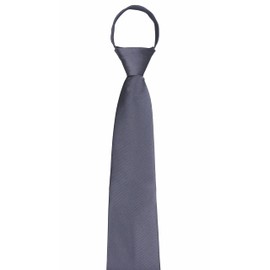 Elegant Silver Silk Easily Zipper Ties Formal Wedding Neckties Birthday Gifts for Men Big Boys