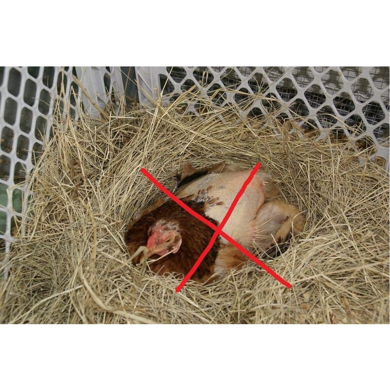 Hen Saver Hen Apron/Saddle, Single Strap, Large, Black