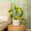 2 Pcs 14in Indoor Metal Garden Circle Plant Trellis for