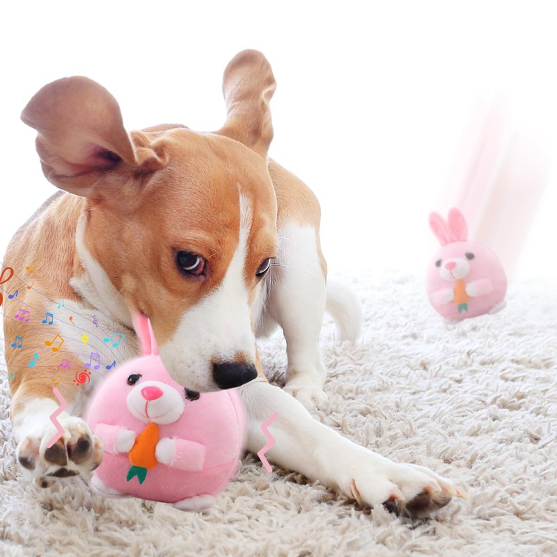Interactive Dog Toy, Easter Dog Toy, Interactive Play Ball for