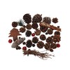 Oberle 80582 Christmas Pine Cones Cones and Accessories Various Sizes