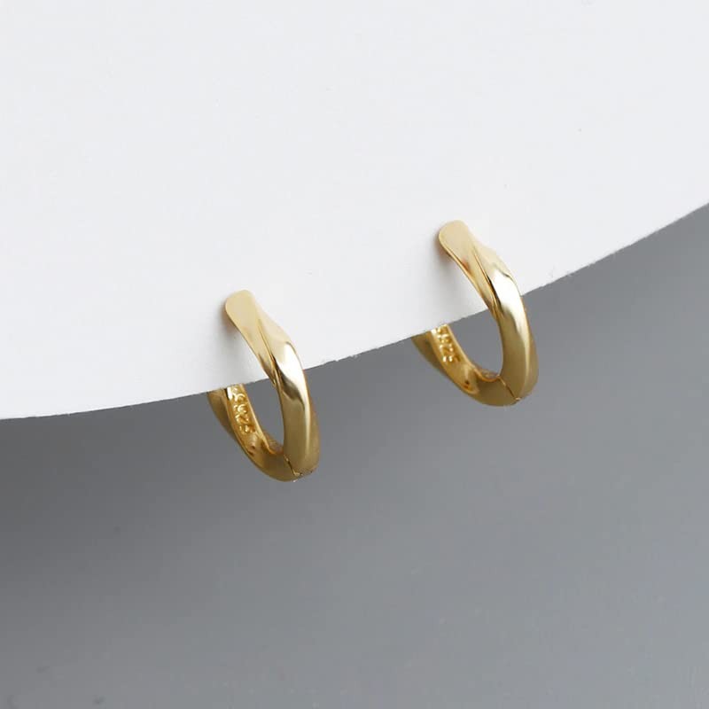LUXSTAR Hoop Earrings, Twisted Ring, 925 Silver, Gold, Silver Binaural
